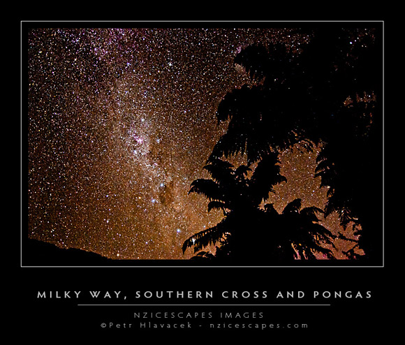 Milky Way, Southern Cross and Ponga trees, West Coast, South Westland, New Zealand Milky Way, Southern Cross and Ponga trees, West Coast, South Westland, New Zealand