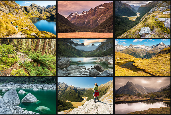 Sample Images from Routeburn Track in New Zealand