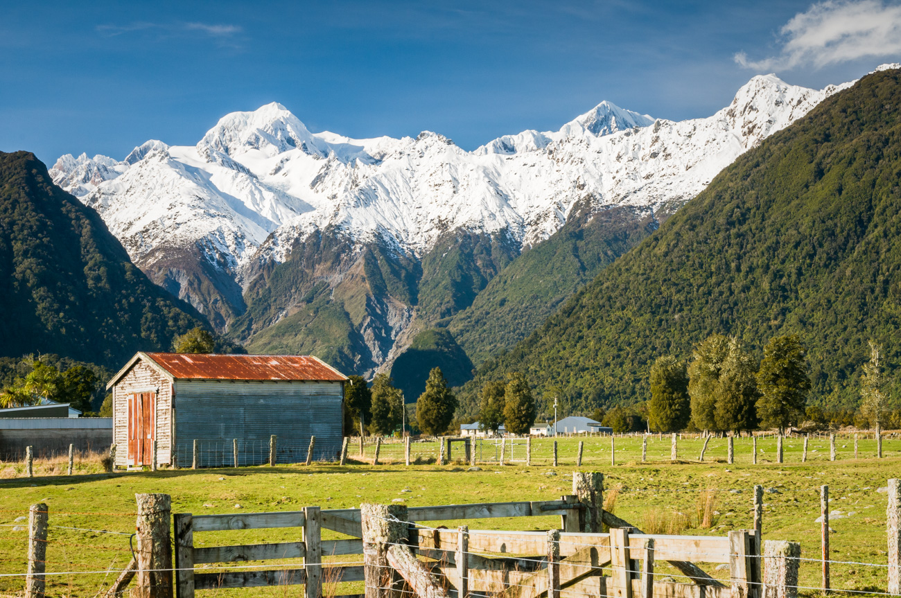 Fox Glacier Farming