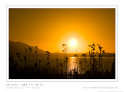 Moana - Lake Brunner