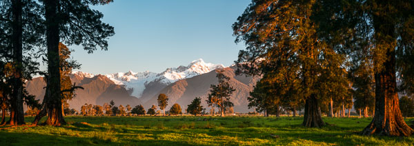 Fox Glacier Farmland