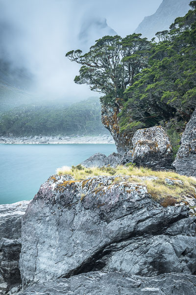 Lake Mackenzie with beech tree