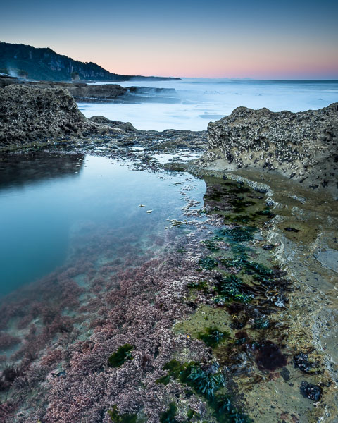 Coastal pool in Punakaiki