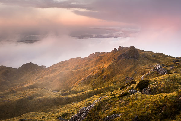 Sunset moods near Fox Glacier