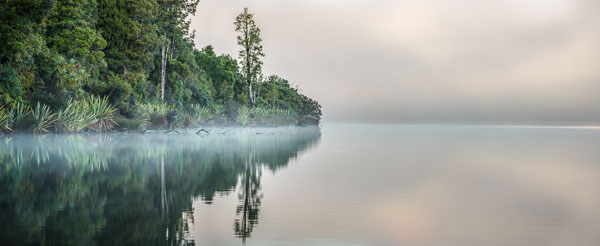 Morning at Lake Mapourika