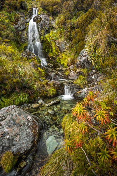 Alpine Stream