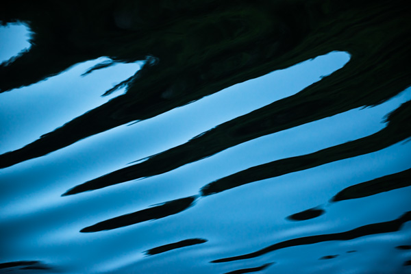 Doubtful Sound Blue Reflections